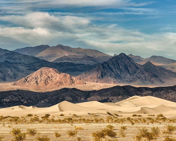 California-Death Valley National Park-Stovepipe Wells-Mesquite Flat Dunes